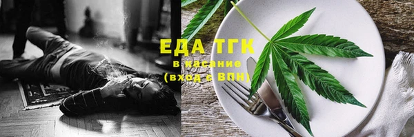 индика Вязники